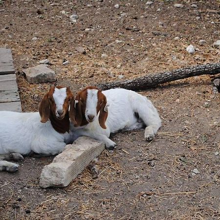 Last Outpost Bandera Ranch House ภายนอก รูปภาพ